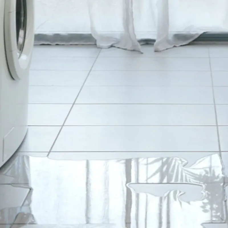 Appliance Leak Cleanup in Massac, KY