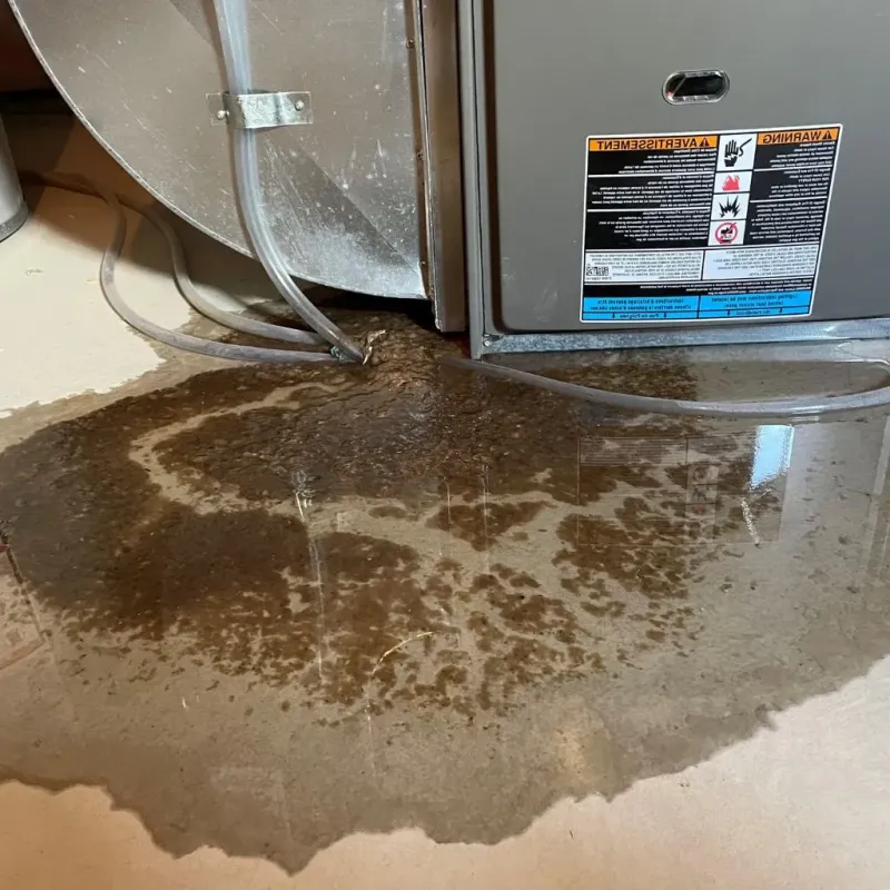 Pipe Burst and Leak Restoration in Massac, KY
